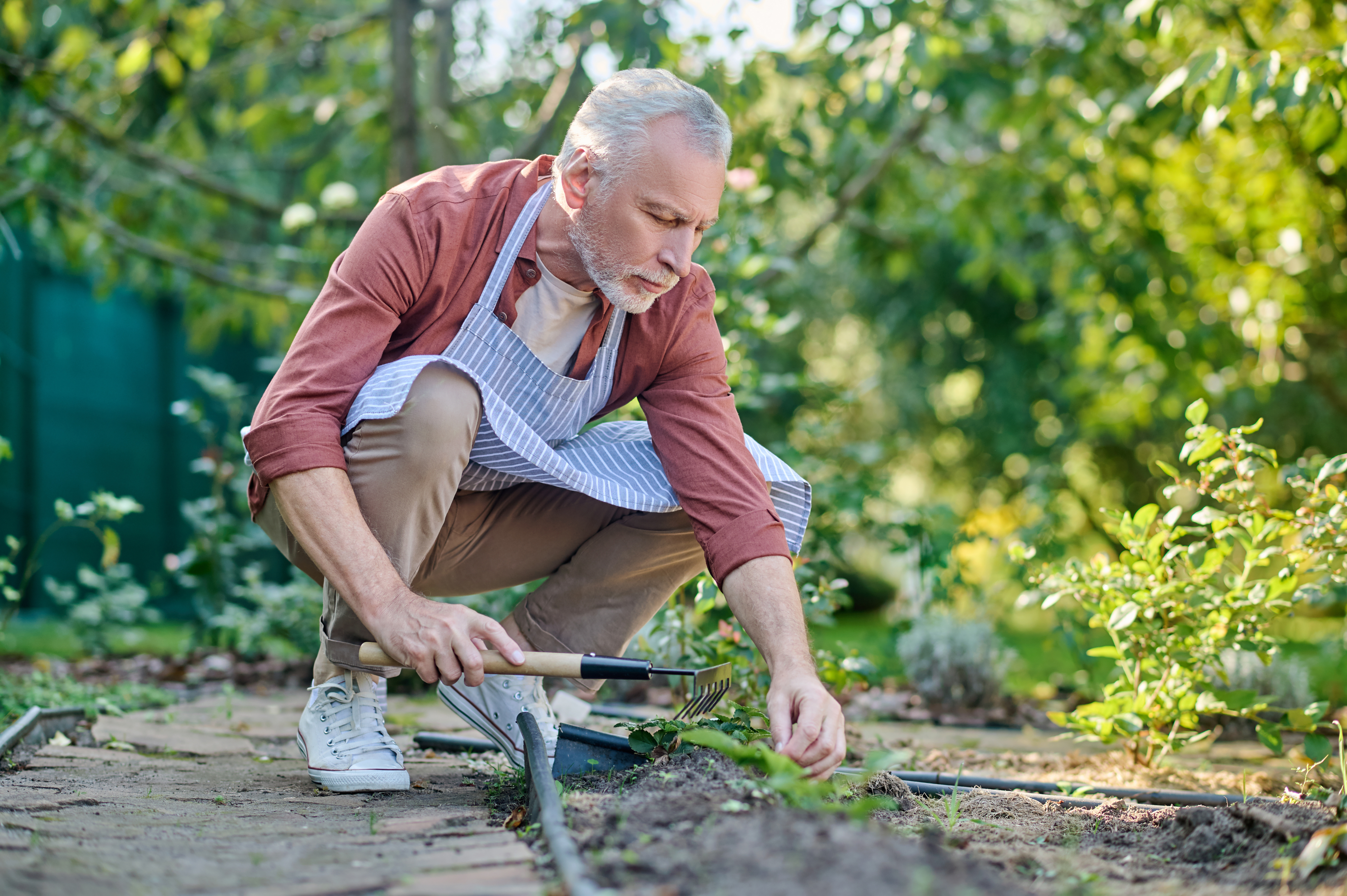 Landscaping & Outdoor Maintenance
